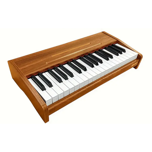 Electronic Keyboard Piano for Beginners-0